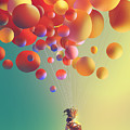 the sky traveller